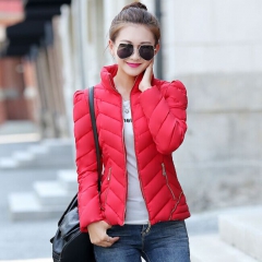 2015秋冬新款韩版女羽绒棉服女立领修身显瘦棉衣短款棉服外套 红色 L